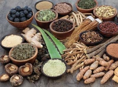 TRADITIONAL MEDICINE/AYURVEDA