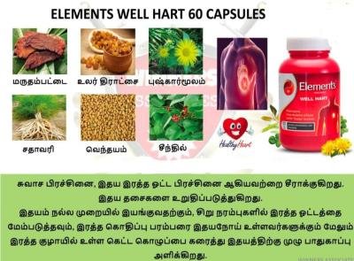 Well Heart - Ayurvedic Heart 60 Capsules