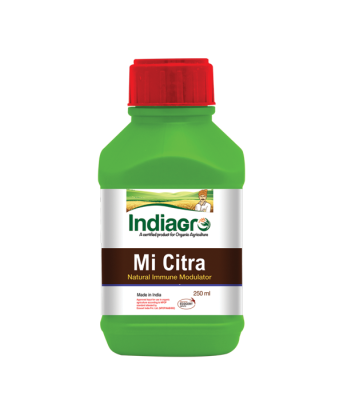 INDI AGRO MI CITRA