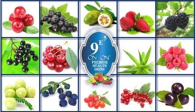 9E5 PREMIUM HEALTH DRINK 1 L-9E5 பிரிமியம்  ஹெல்த் ட்ரிங்க் 1 லி